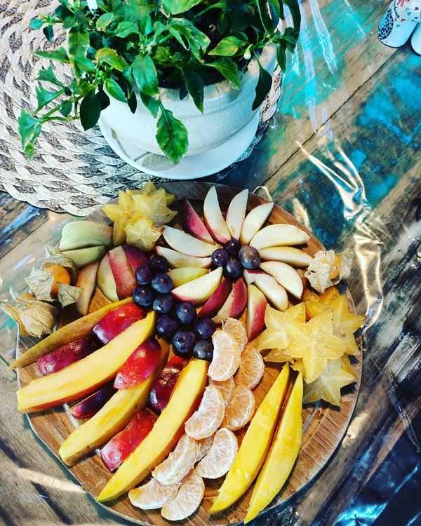 Alimentação